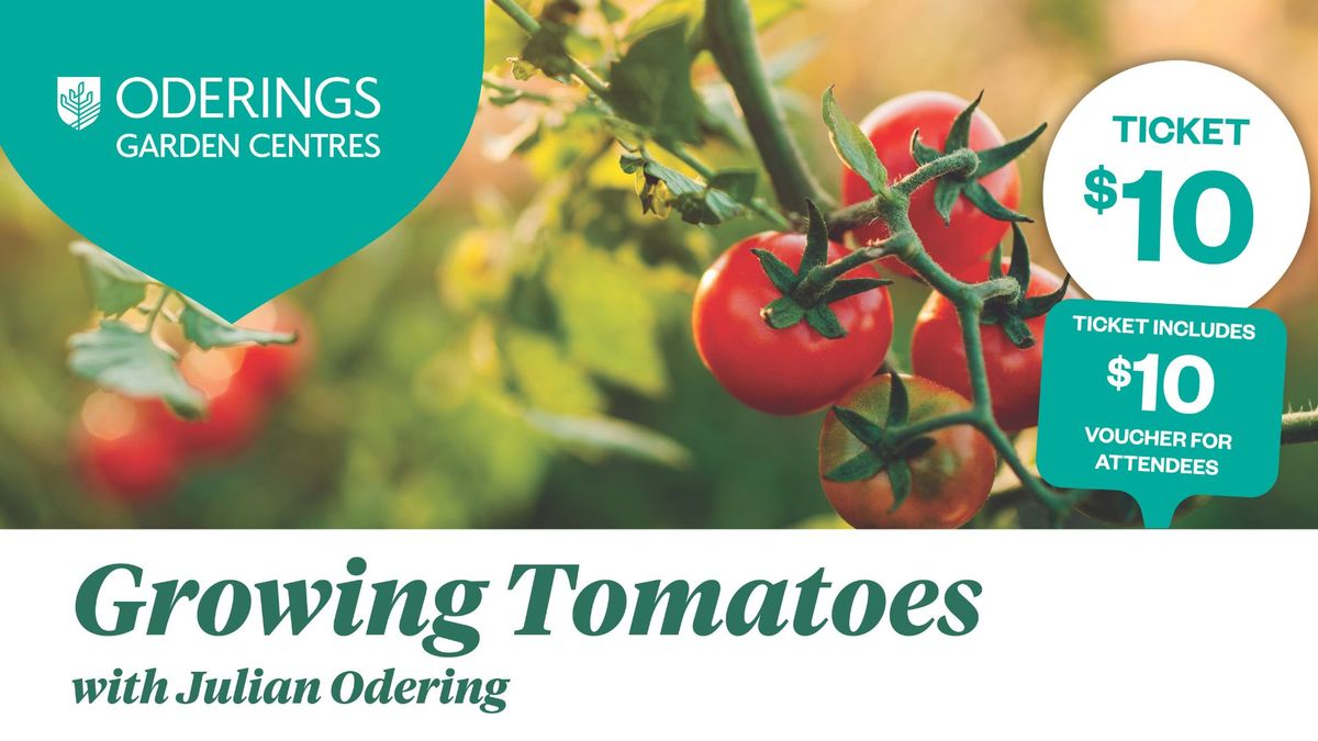 Growing Tomatoes Workshop with Julian Odering