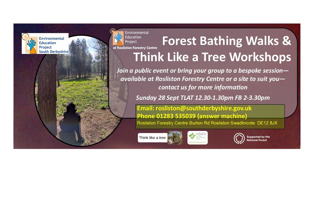 Forest Bathing Walks & Think Like A Tree Workshops at Rosliston Forestry Centre