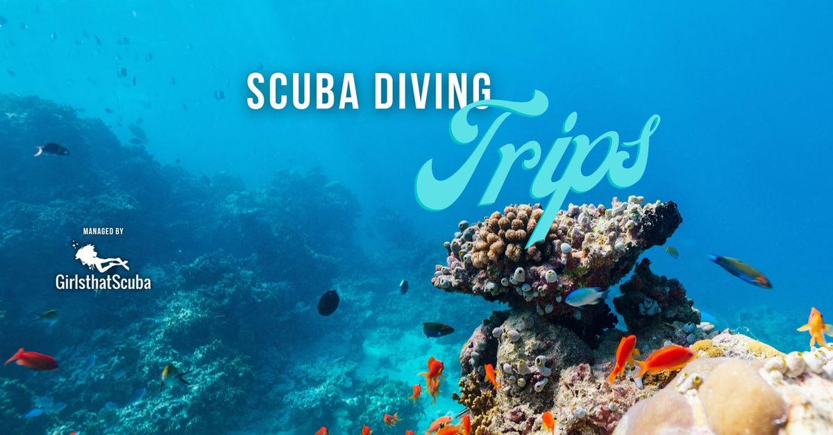 The Deep Blue | Scuba Safari