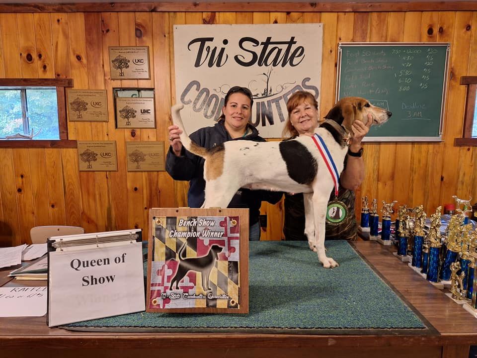 UKC Coonhound TWBFA Sectional & Feist Event