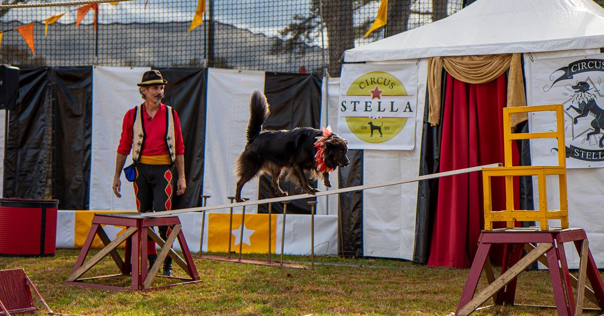 CIRCUS STELLA VISITS DIGGERLAND