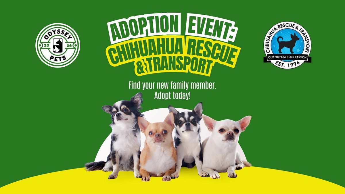 Chihuahua Rescue & Transport Adoption Event