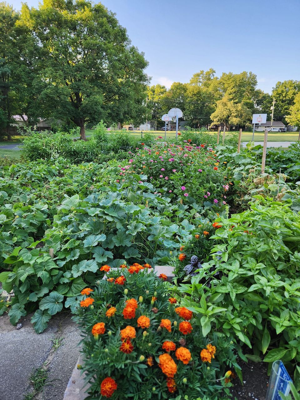 Master Gardeners of Montgomery County's Annual Plant Sale & Garden Show