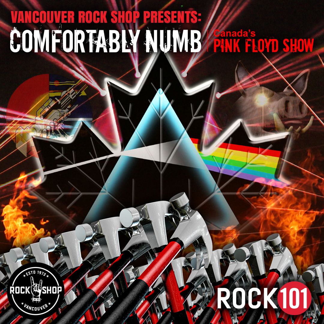 Comfortably Numb - Canada's Pink Floyd Show at Algonquin Commons Theatre