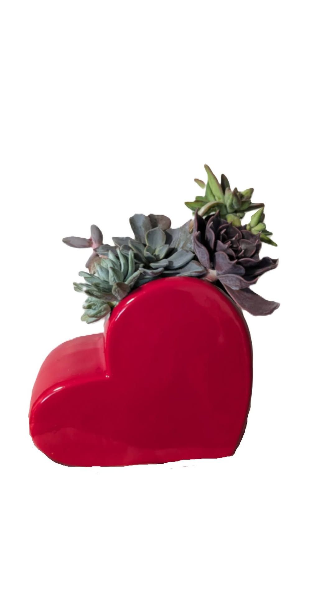 Succulent Hearts Workshop at The Park Coffee & Bread Co.