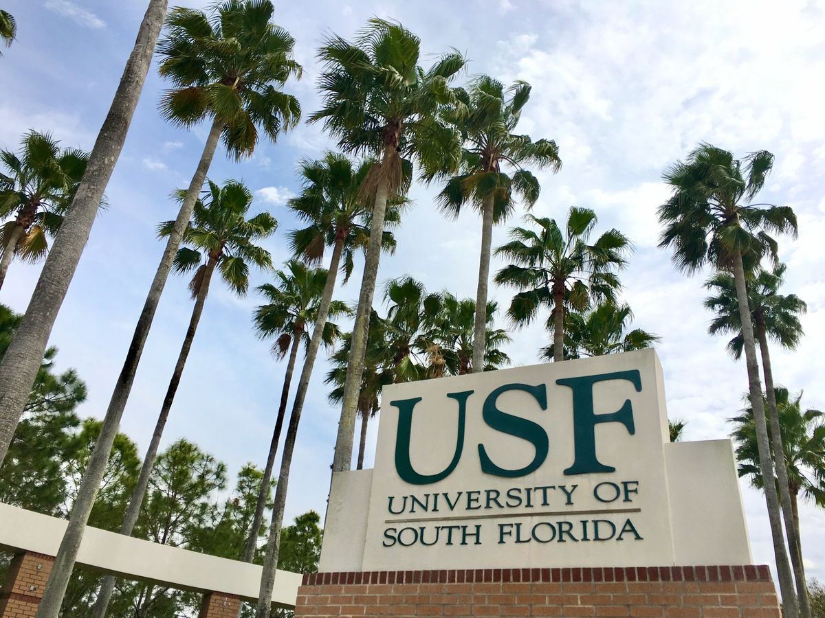 USF Application Day at SPC (Clearwater Campus)