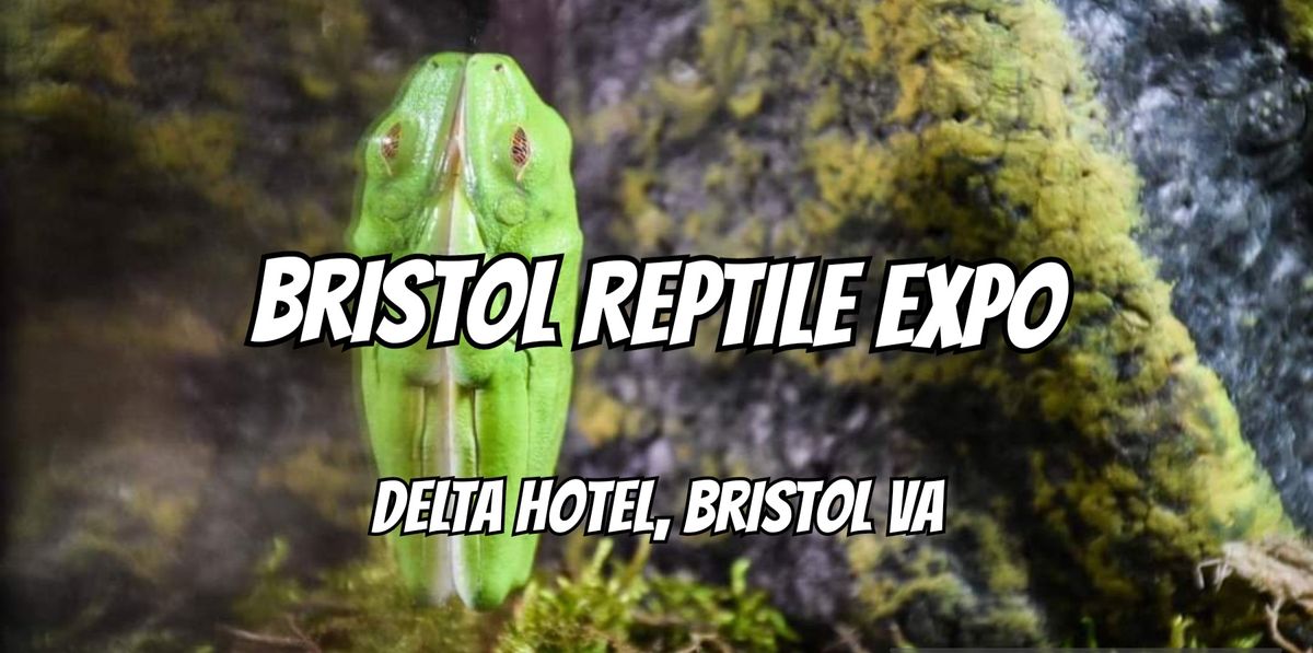 Bristol Reptile Expo - Diamondback Productions 