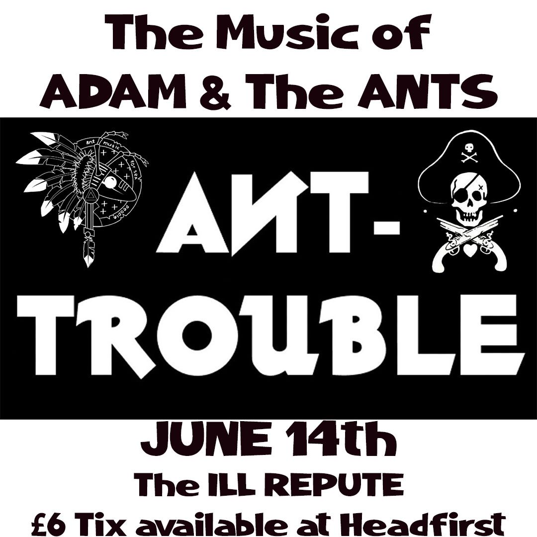 Ant TRouble