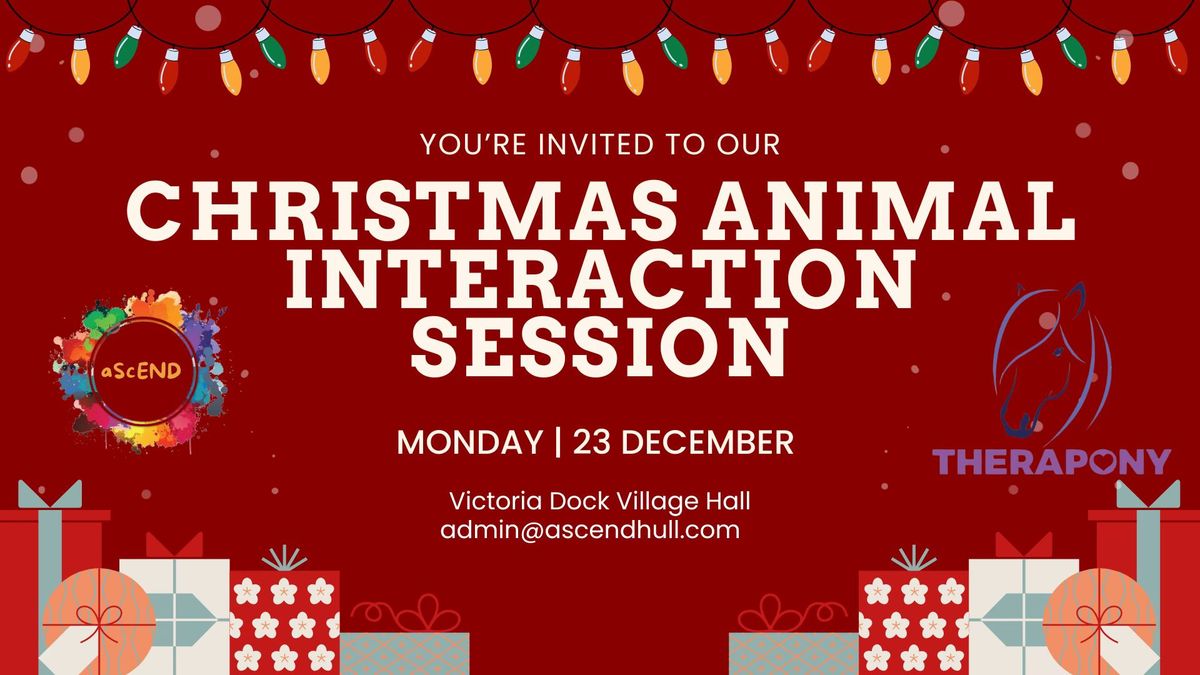 CHILDRENS Christmas Animal Interaction Session