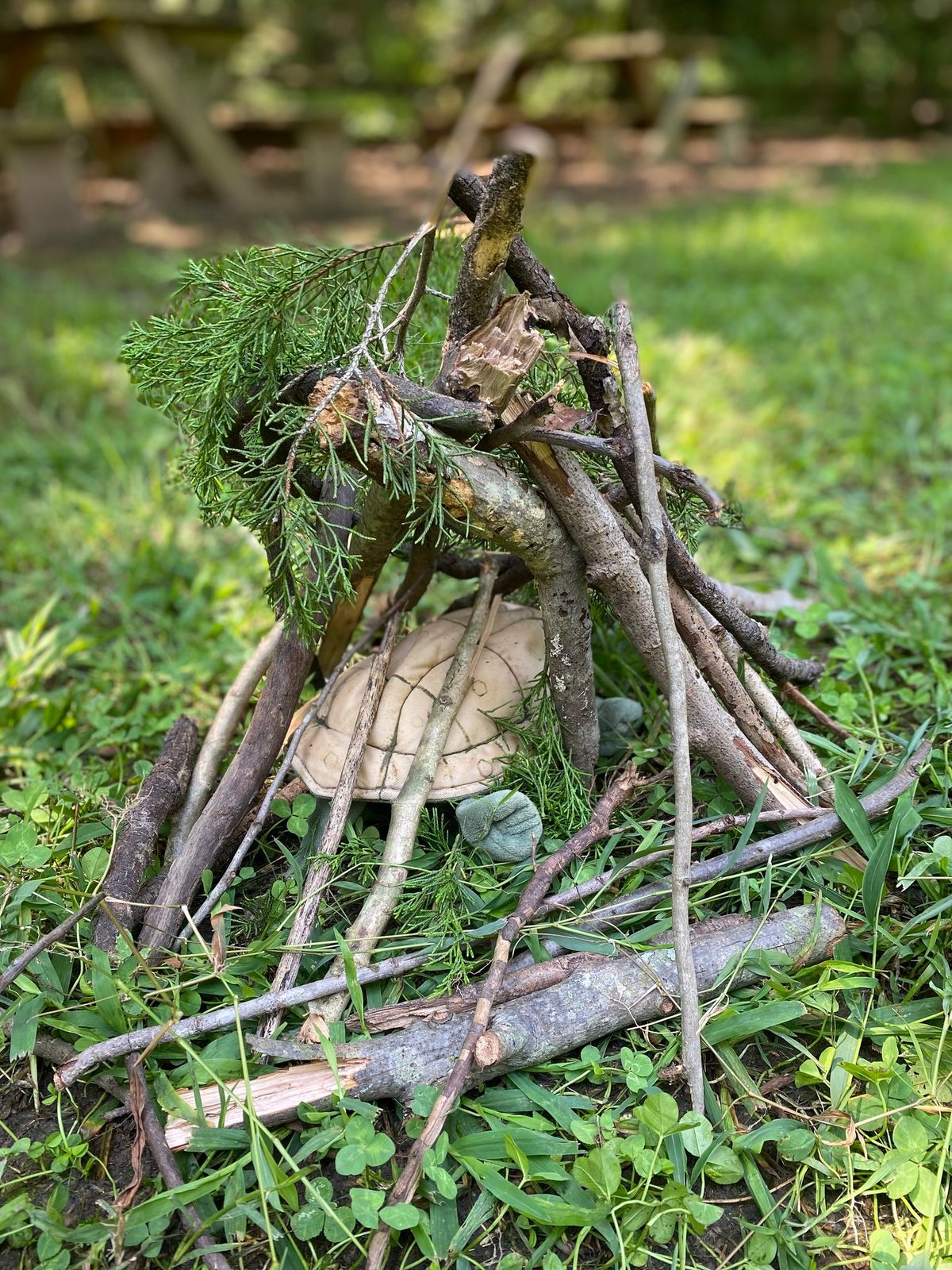 Forest Fort Builders