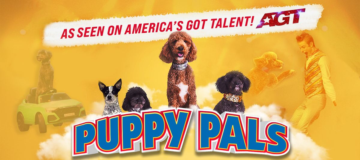 Puppy Pals Live! -  Fergus Falls