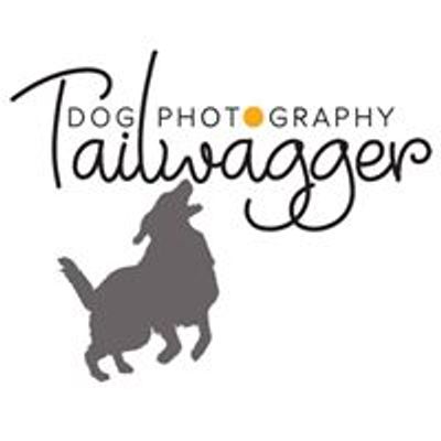 Tailwagger Dog Photography