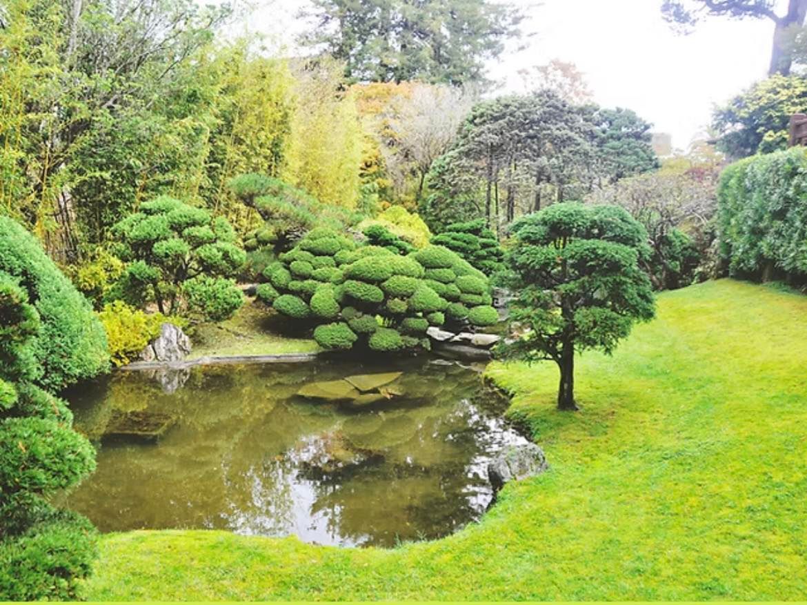 Tamborine Mountain Garden Club social meeting