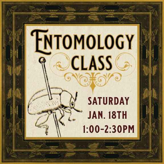 Entomology Class