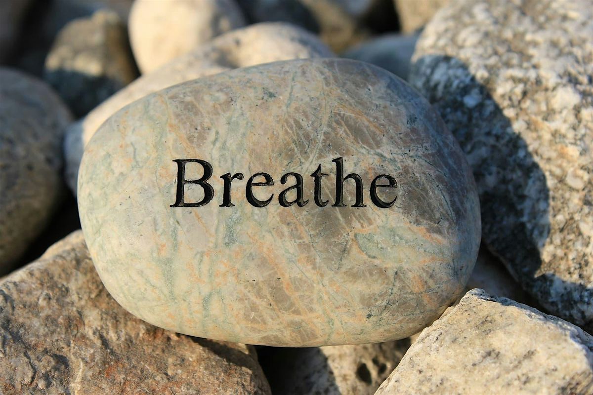 SPIRITUS Breathwork and Somatic Healing