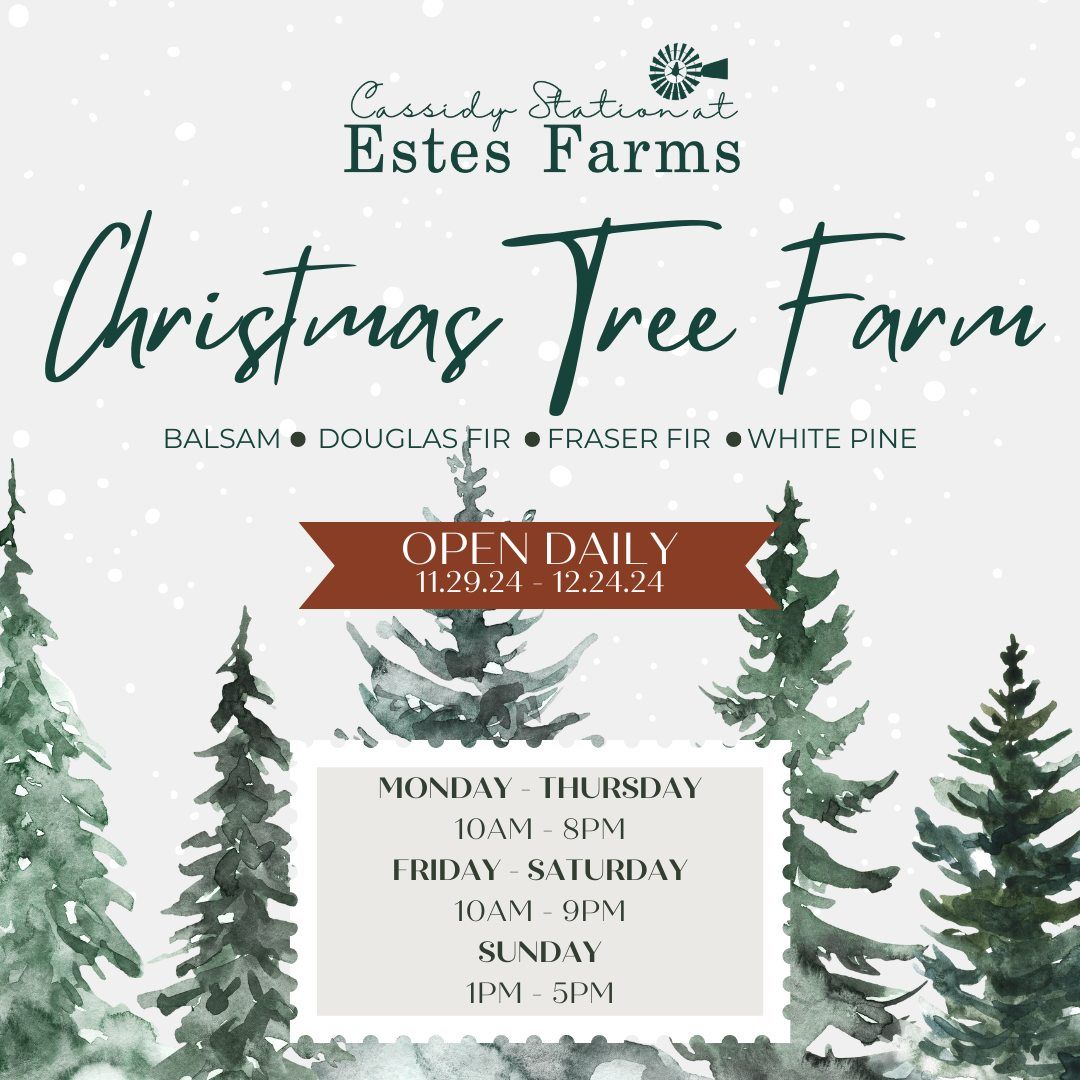 Christmas Tree Farm at Cassidy Station - Open The Whole Month of December!