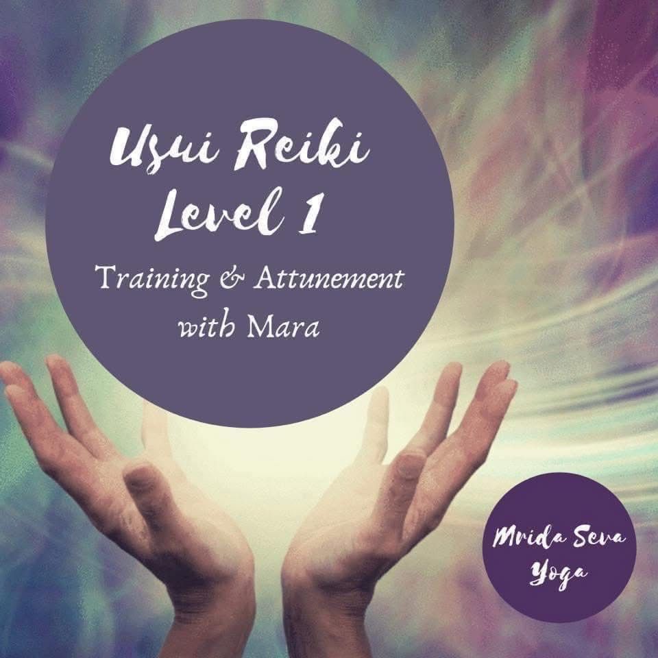 Usui Reiki 1, Shoden Level Training