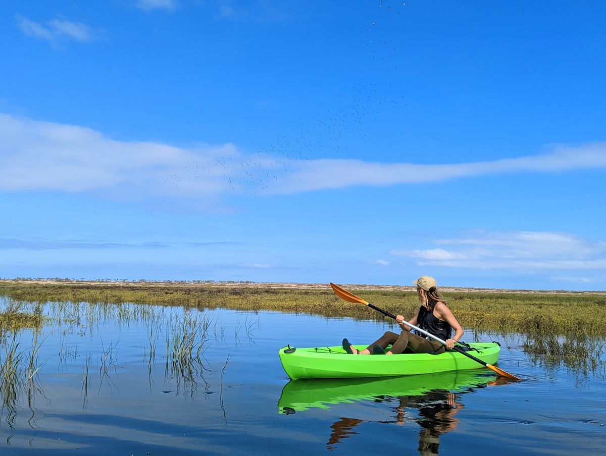 Wildlife Kayaking Eco Tour - Kids Free October