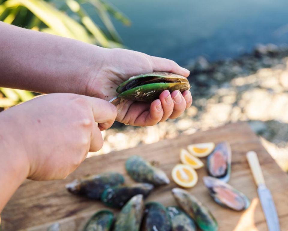 Ocean Front Camping - Mussel Foraging & Feast
