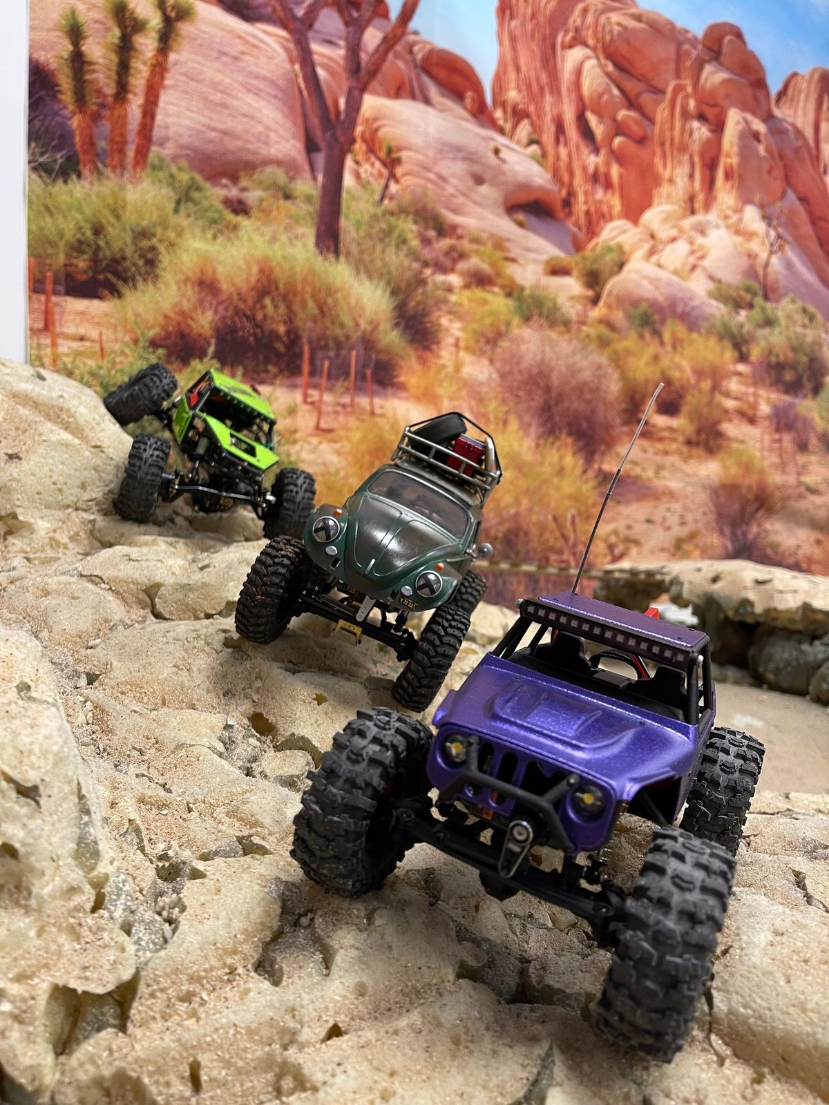 Carolina Scale Crawler Comp #5 - Hobbytown Mooresville