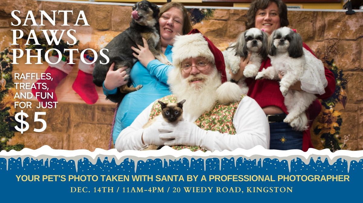 Santa Paws Pet Photos