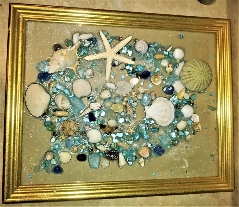 Seashell Windows 11 x 14 $60pp, Coastal Bohemian, Navarre, 6 April 2024