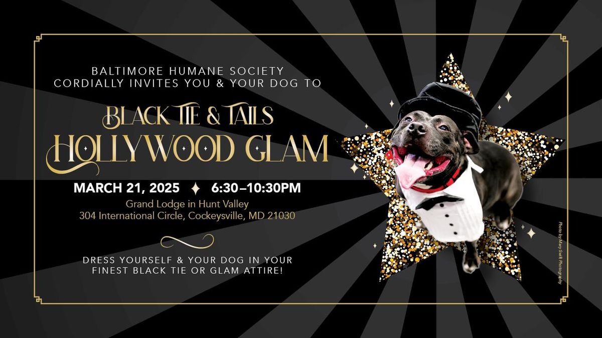 Black Tie & Tails- Hollywood Glam