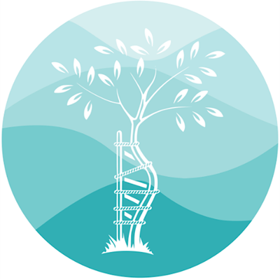 Tayside Orthopaedic Research Collaborative (TORC)