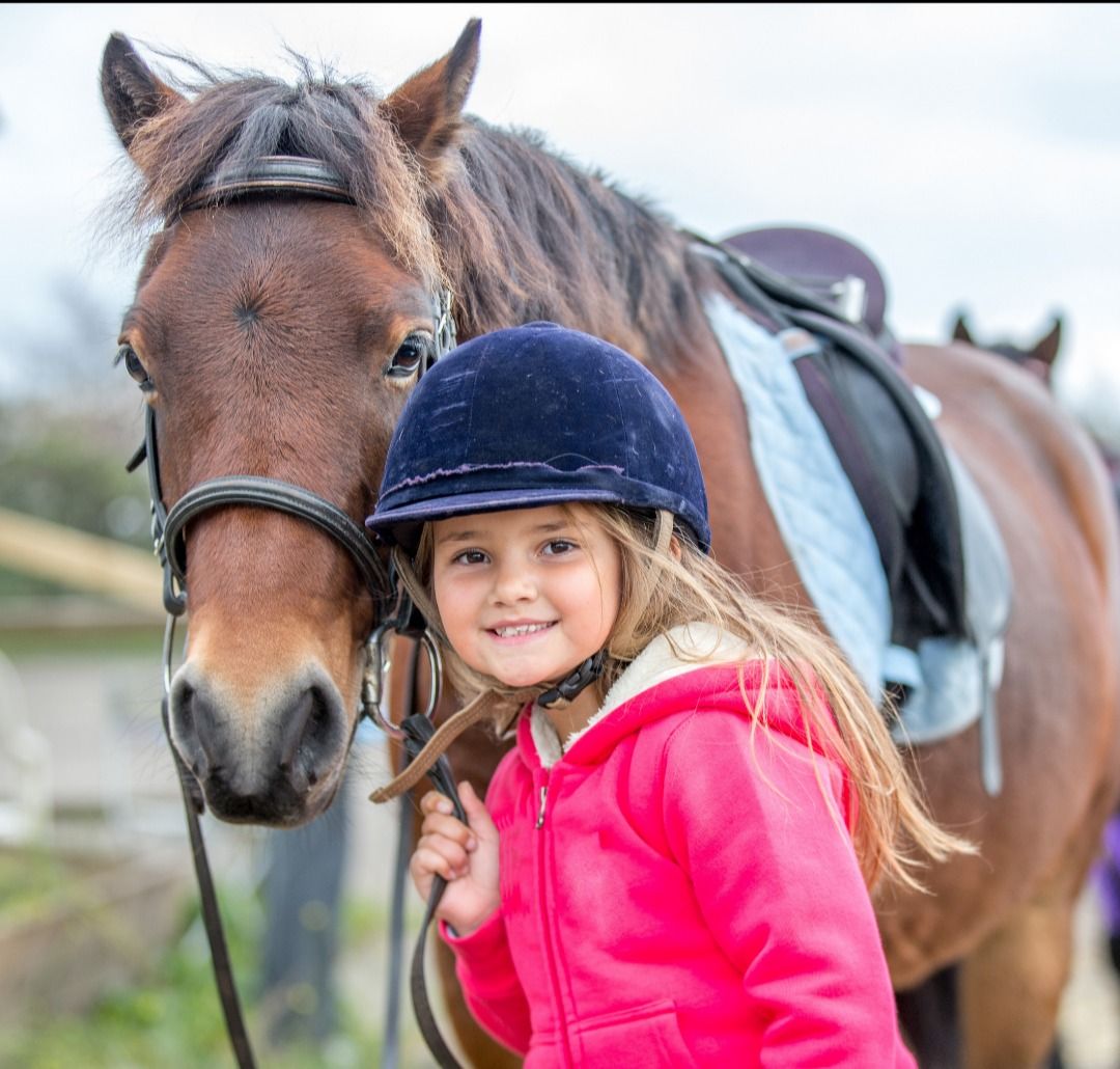 Horse-Centered Summer Camps