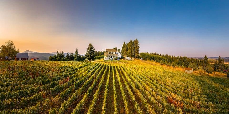 BlueBird Hill Cellars Wine Dinner