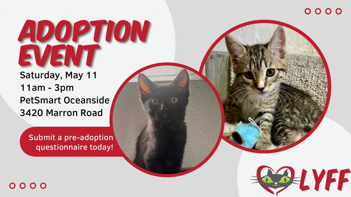 Cat & Kitten Adoption Event