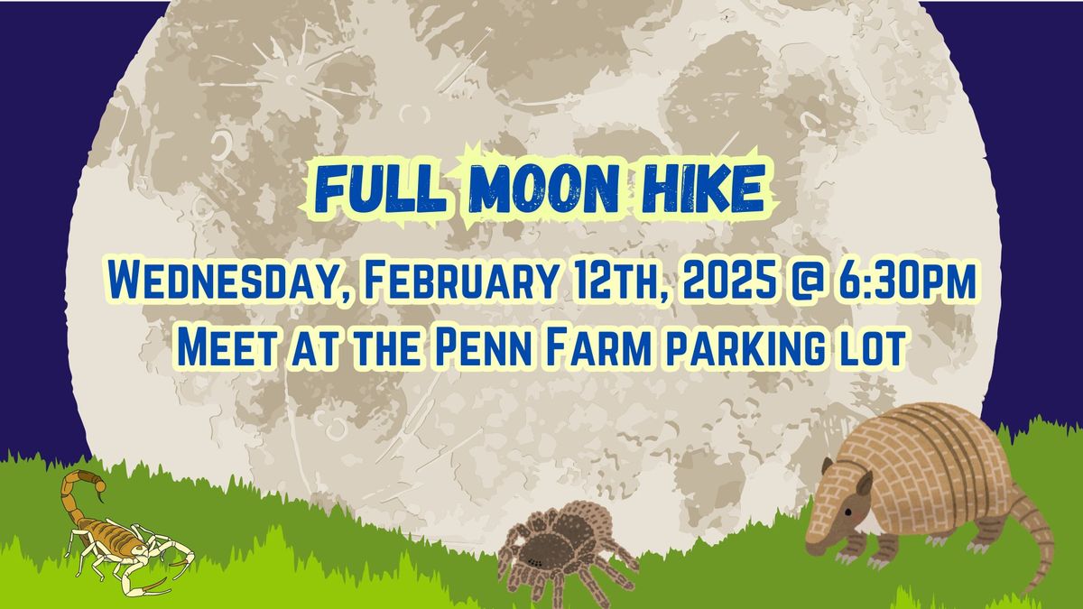 February Full Moon Hike