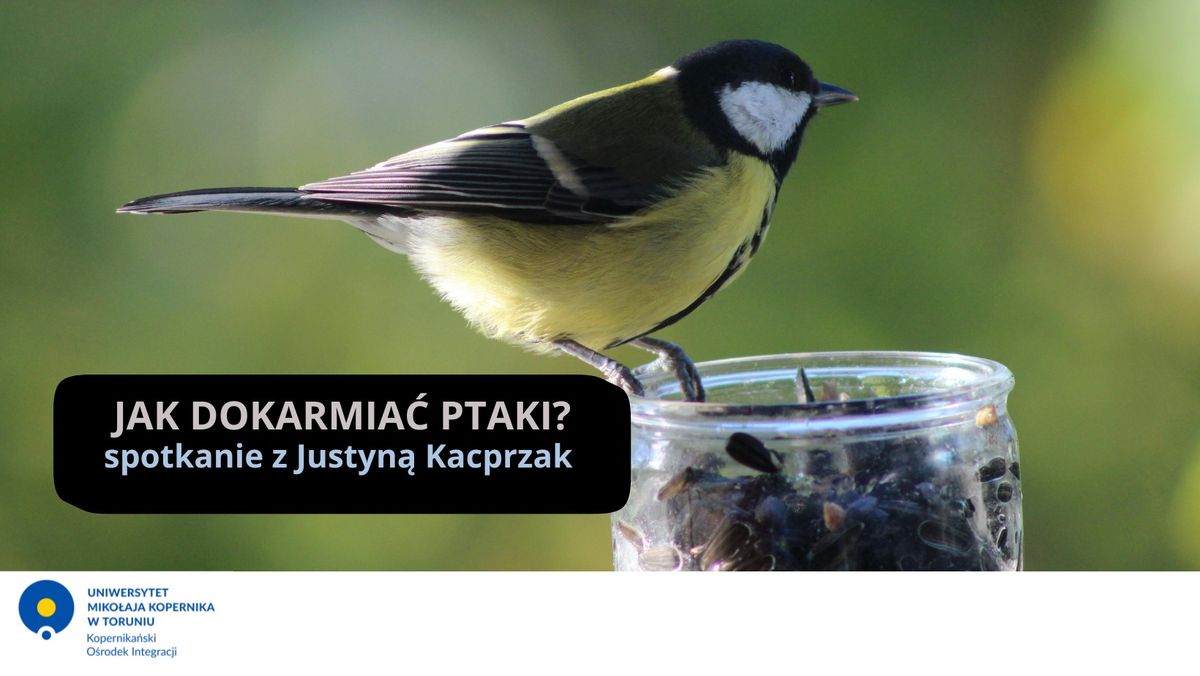 Jak dokarmia\u0107 ptaki? \/ How to feed birds? 