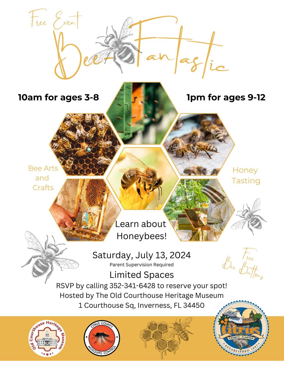 Free Kids' Event: Bee Fantastic! (For 9 to 12 year olds)