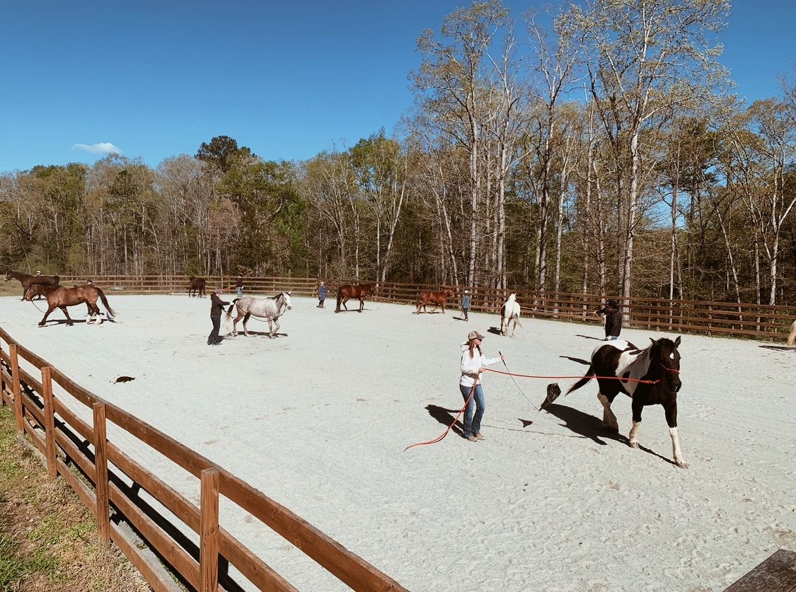 Fundamentals of Horsemanship