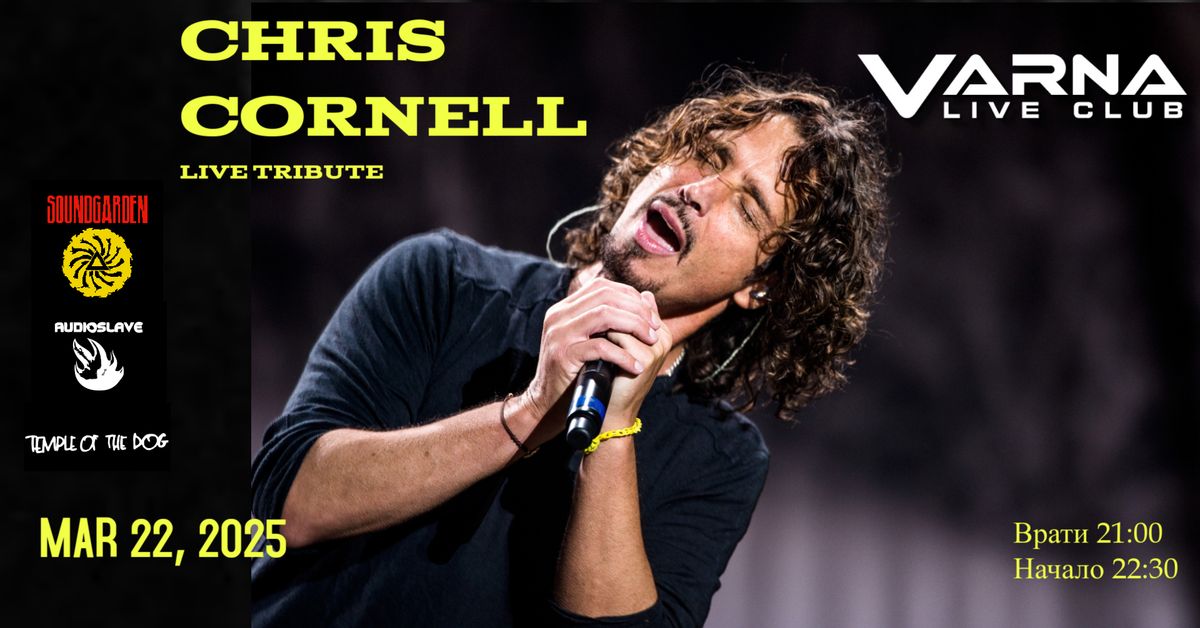 Chris Cornell live tribute