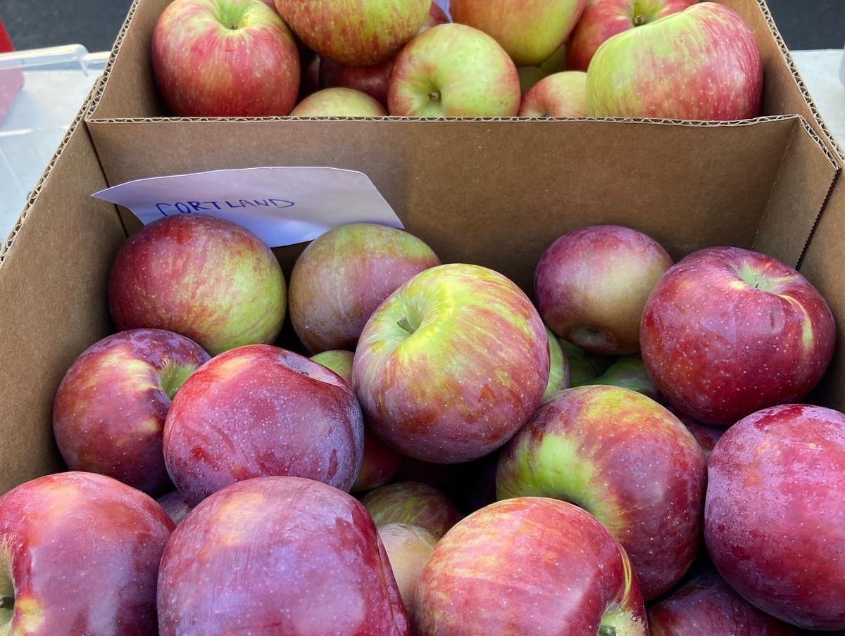 Concord Farmers' Market