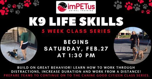 Class Series: K9 Life Skills