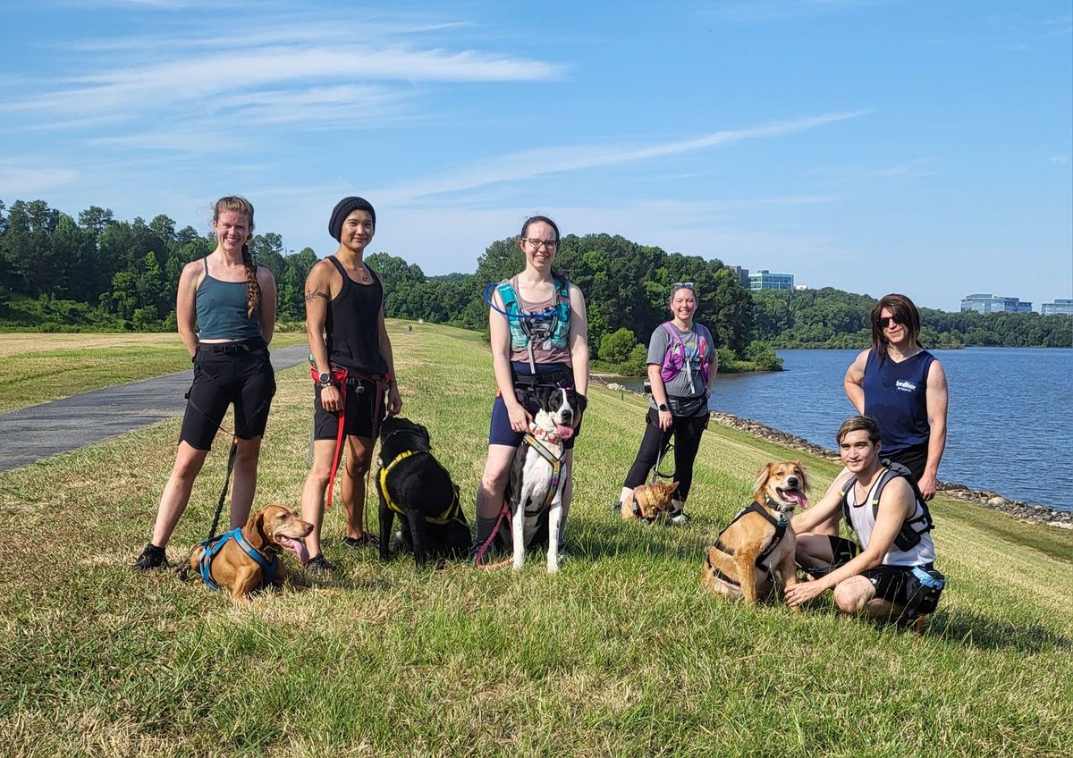 Thursday Night Canicross\/Trail Run with Your Dog Meetups!