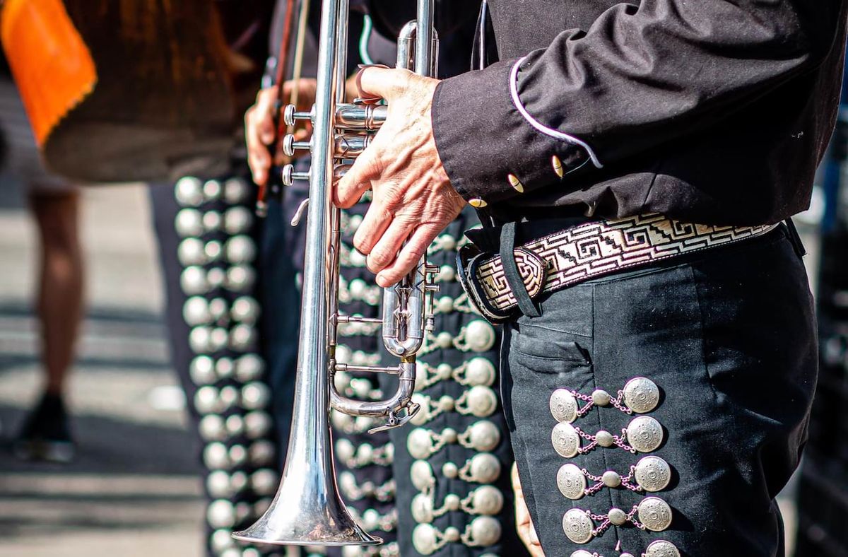 Mariachi Vargas De Tecalitlan