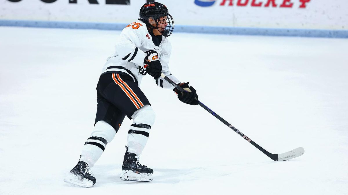 Parking RPI Engineers at Princeton Tigers Mens Hockey