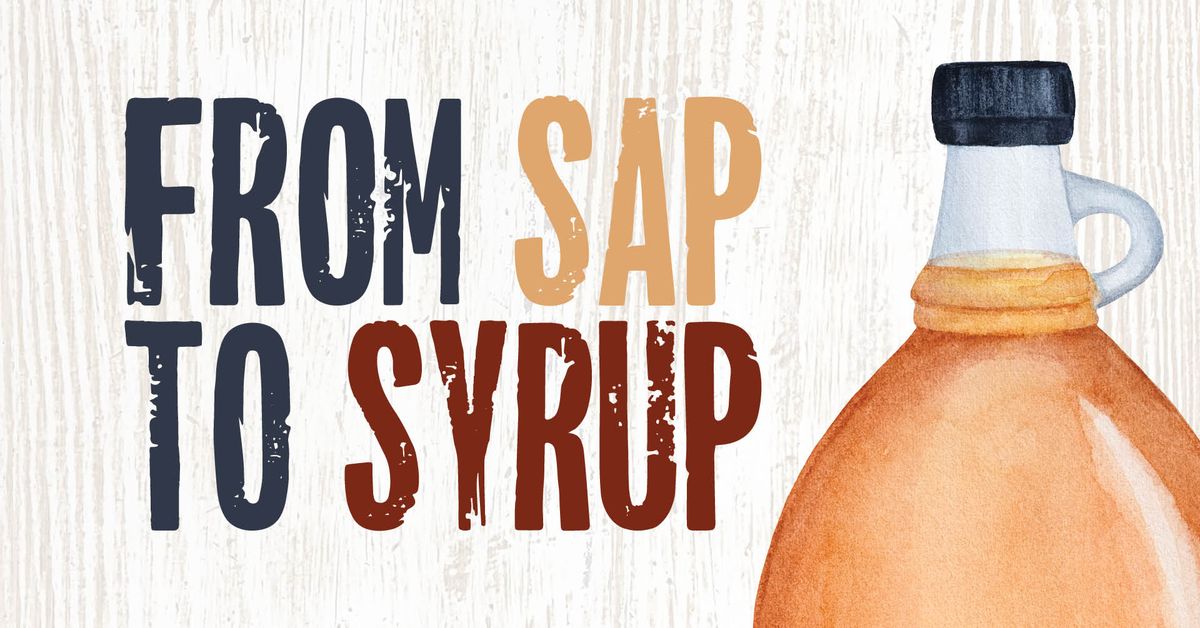 From Sap to Syrup