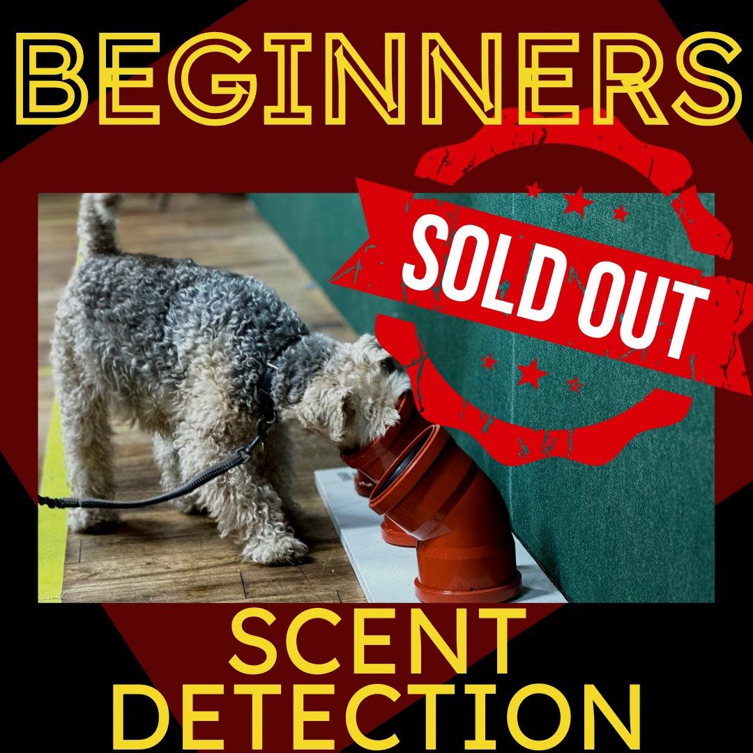 FULLY BOOKED - Beginners Scent Detection Course