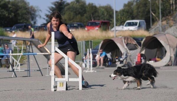 (Utsolgt) Handlingkurs i agility med Bodil Mehl Wiik