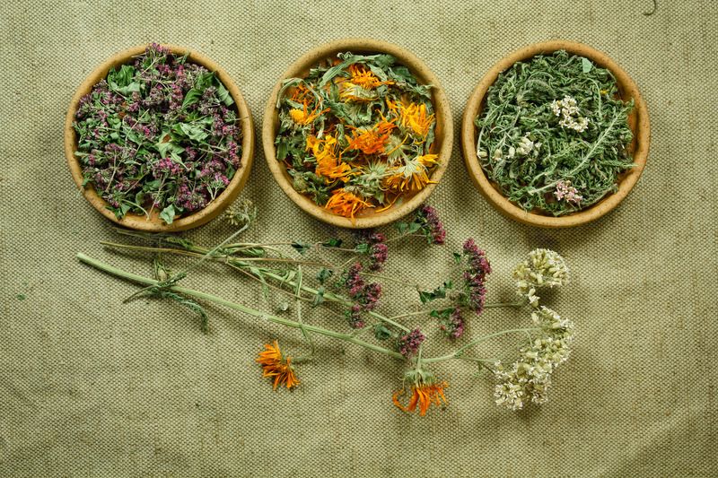 Herbal Winter Wellness