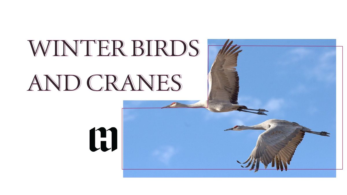 Winter Birds and Cranes in Nature and Art