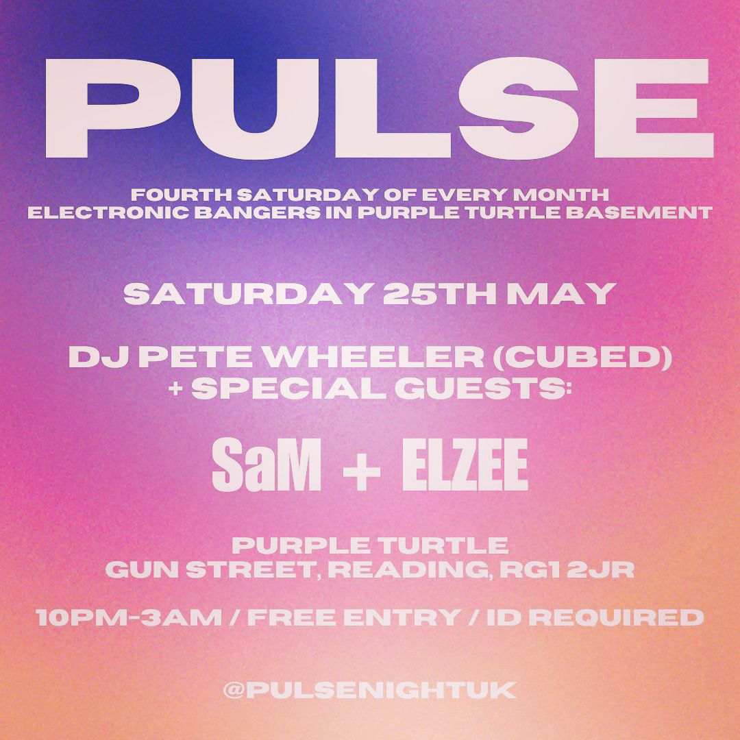 PULSE #3 @ Purple Turtle Basement w\/ DJ Pete Wheeler + guests: SaM + ELZEE