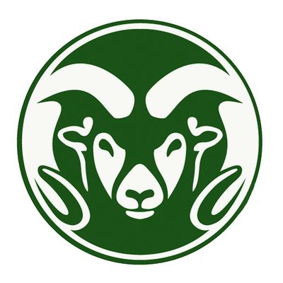 Class of 2006 Reunion