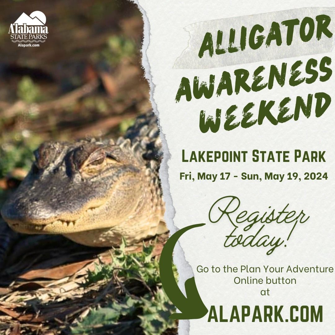 Alligator Awareness Weekend: Fascination, Facts, and Safety