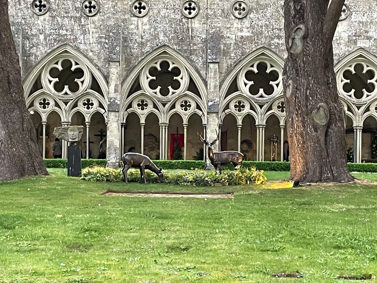 Odds and Bods of Salisbury Cathedral: a talk by Gill Pelton